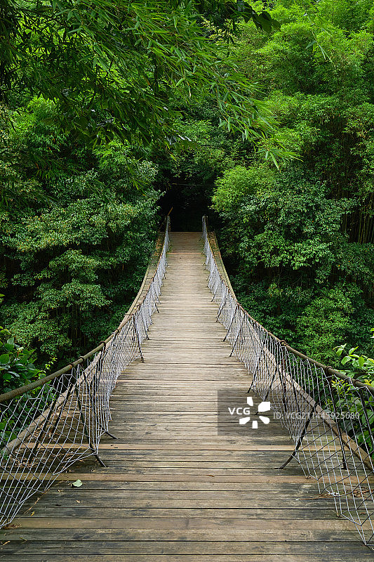 成都青城后山隐谷吊桥图片素材