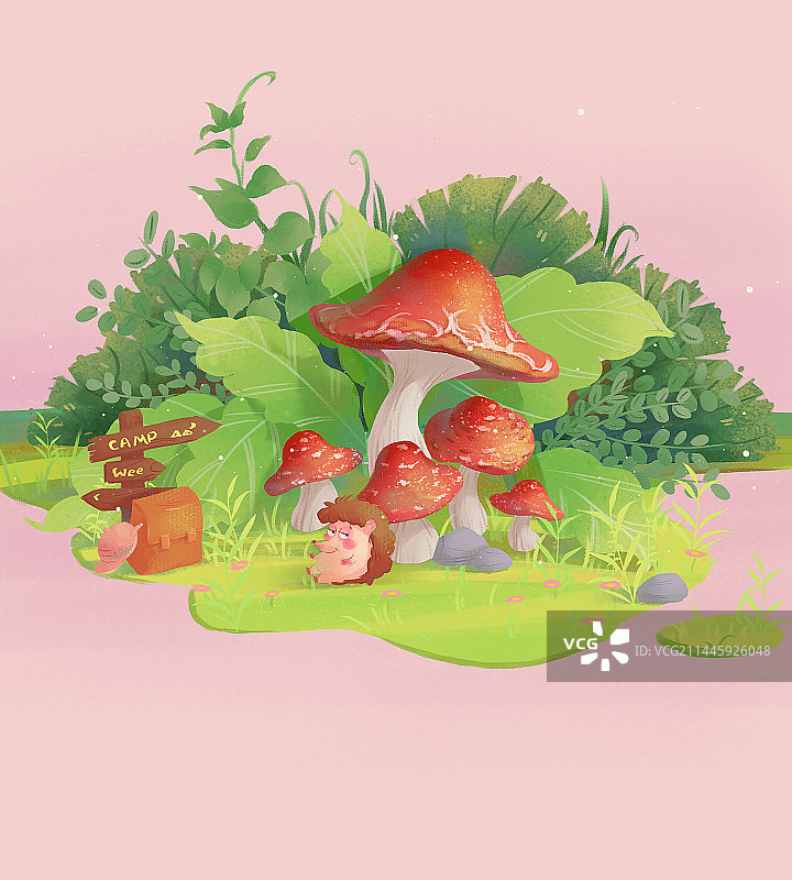 动植物插画图片素材