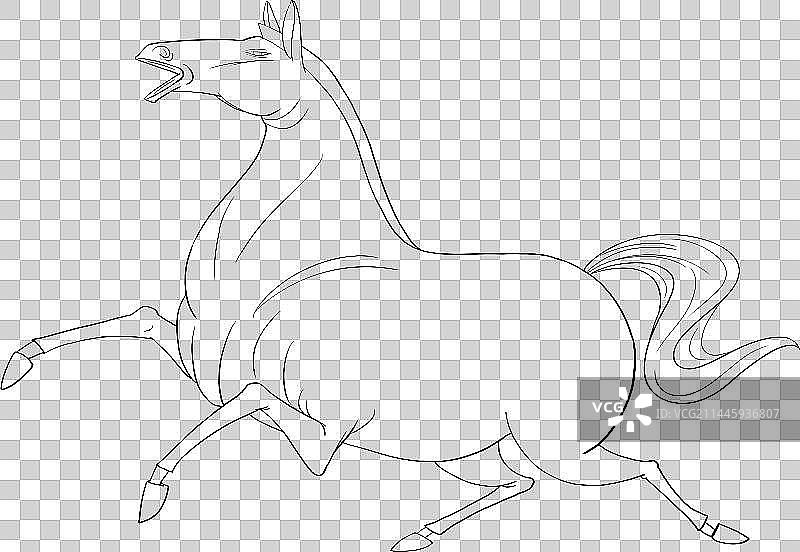 奔跑鸣叫的宝马动物元素图片素材