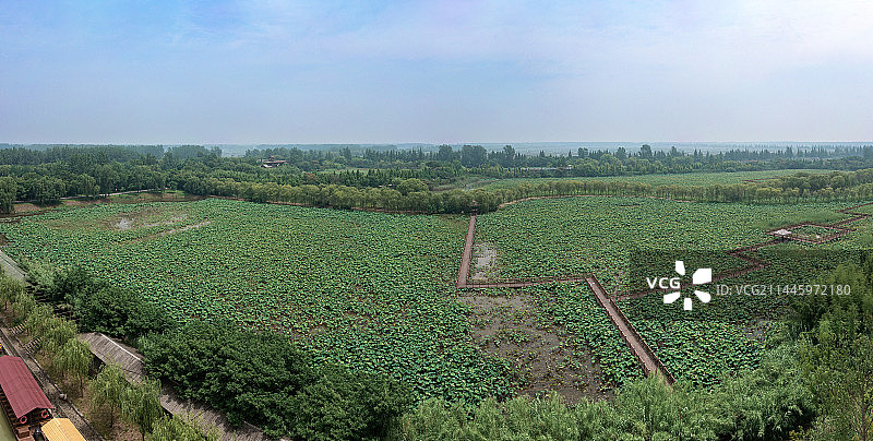 江苏泗洪县洪泽湖湿地风光图片素材