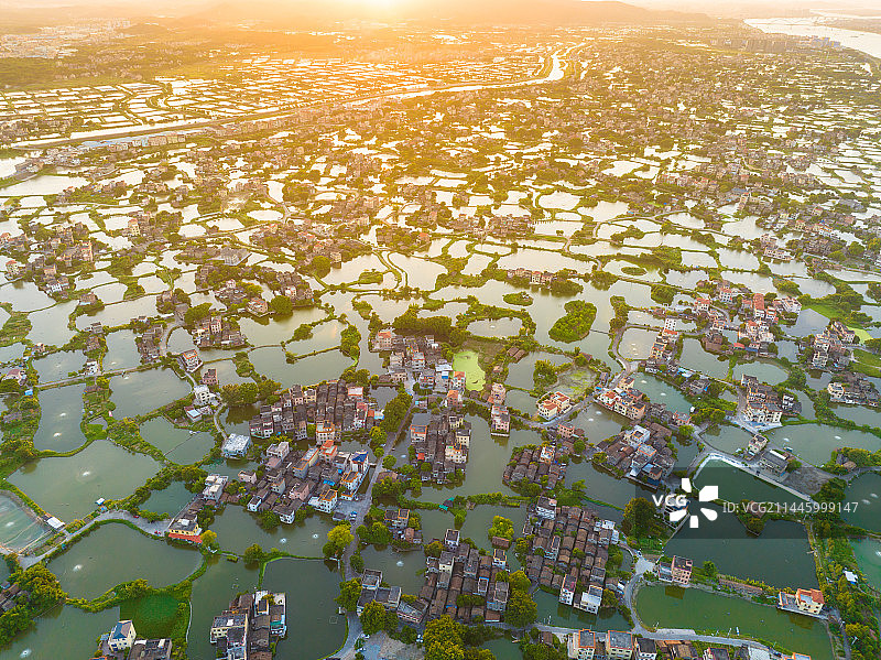 广东省江门鹤山市古劳水乡、桑基鱼塘、夕阳映照水乡、美丽乡村图片素材
