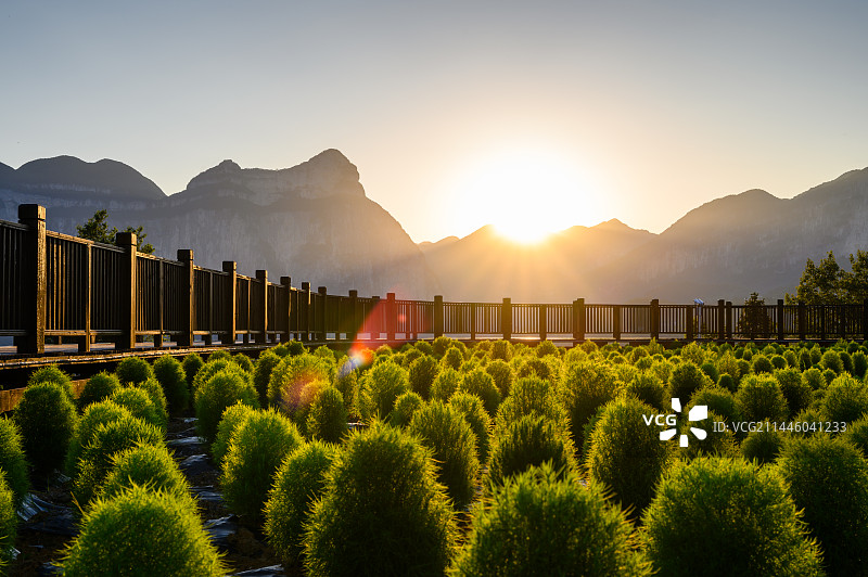 恩施大峡谷茶园日落风光图片素材