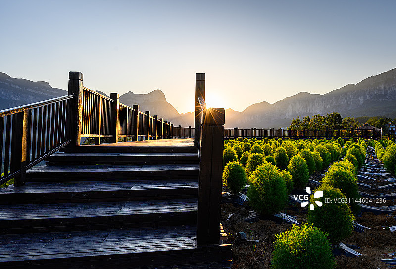 恩施大峡谷茶园日落风光图片素材