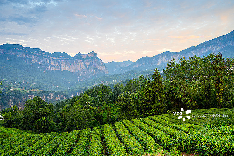 恩施大峡谷茶园日落风光图片素材