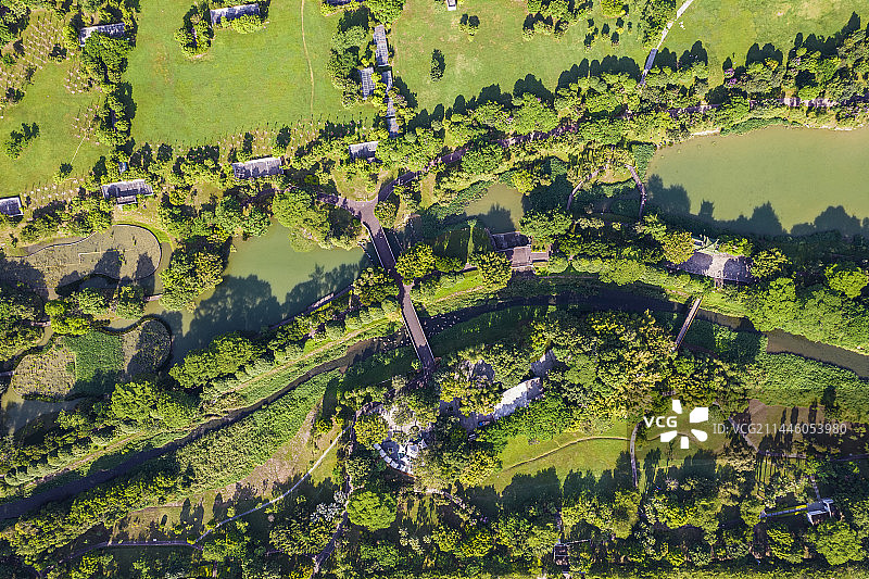 深圳中心公园图片素材