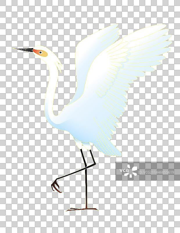 白鹭鸟类插画图片素材