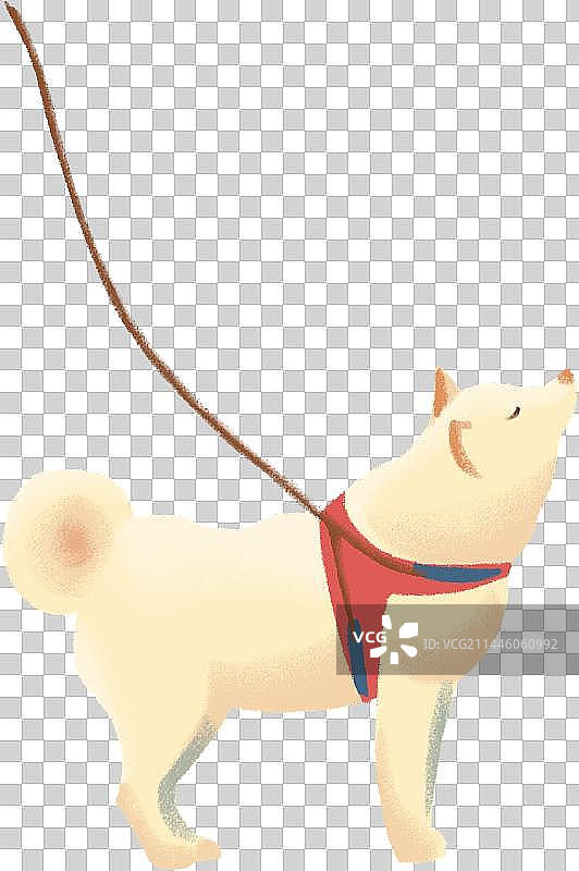 白色小狗图片素材