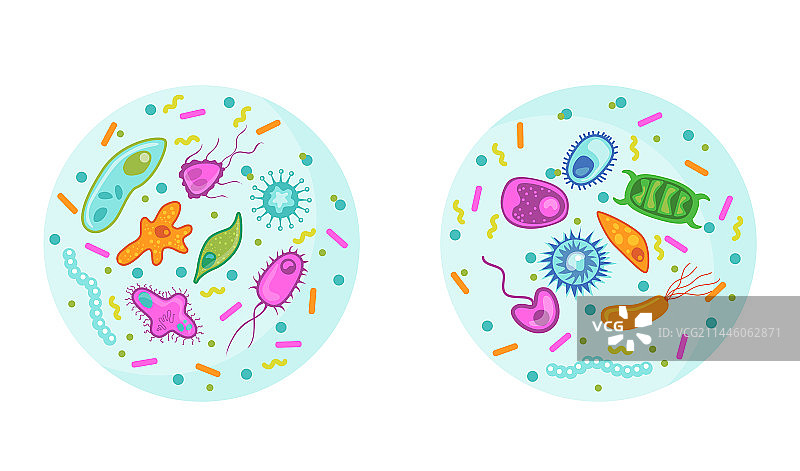细菌和病毒合集图片素材