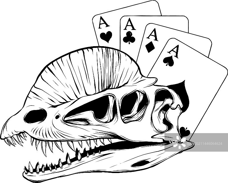 黑色线条的恐龙双脊龙骨骼图片素材