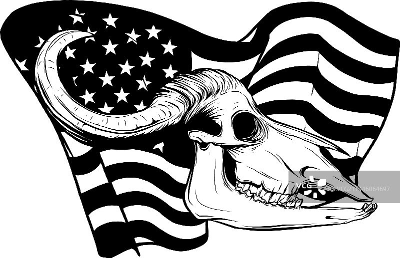 公牛头骨艺术轮廓设计图片素材