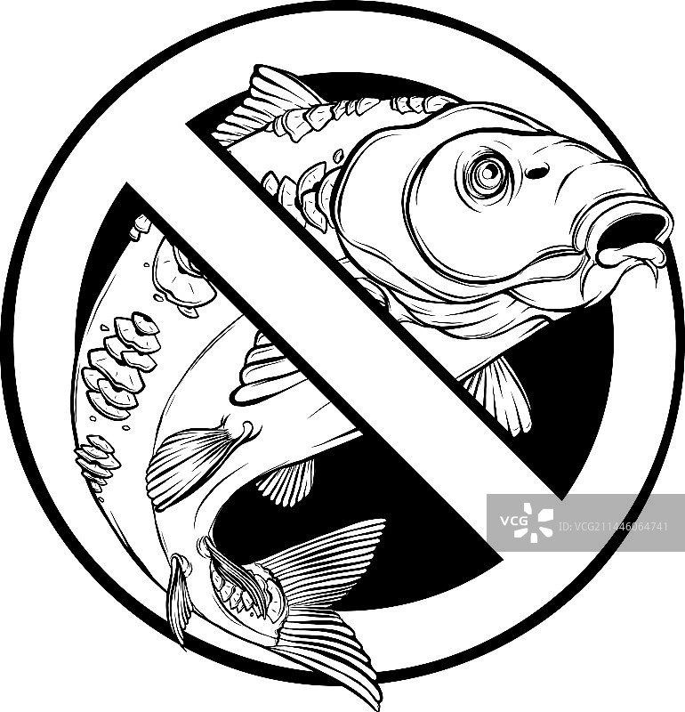 鲤鱼轮廓设计图片素材