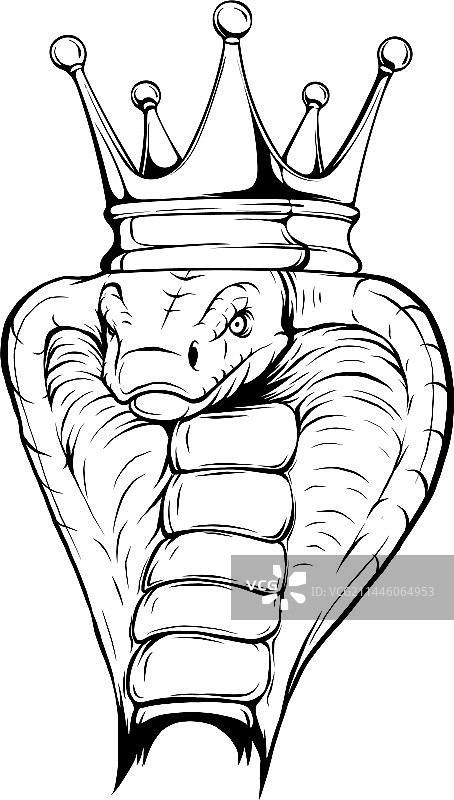 眼镜蛇头部轮廓图片素材