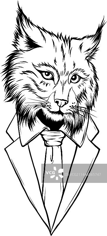 野生猞猁头像标志 - 黑白动物图片素材