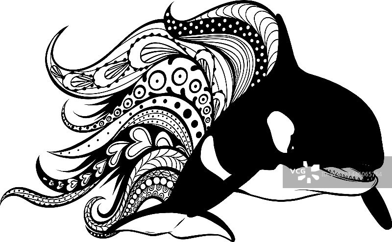 卡通虎鲸轮廓图片素材