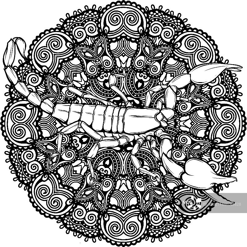 蝎子轮廓图图片素材