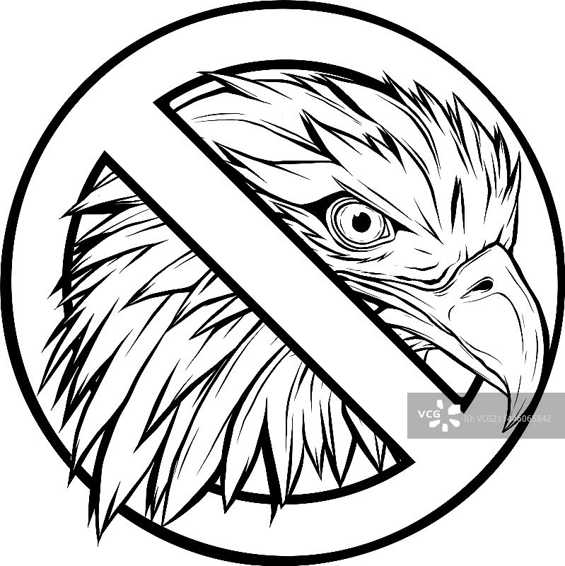 轮廓风格的老鹰头图片素材