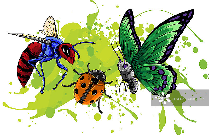 昆虫素描墨线图片素材