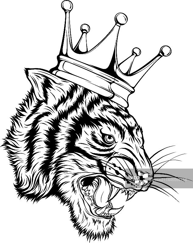 虎头设计轮廓图片素材