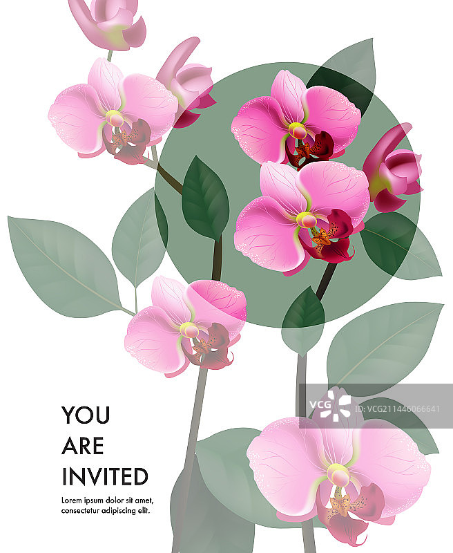 透明邀请卡模板图片素材