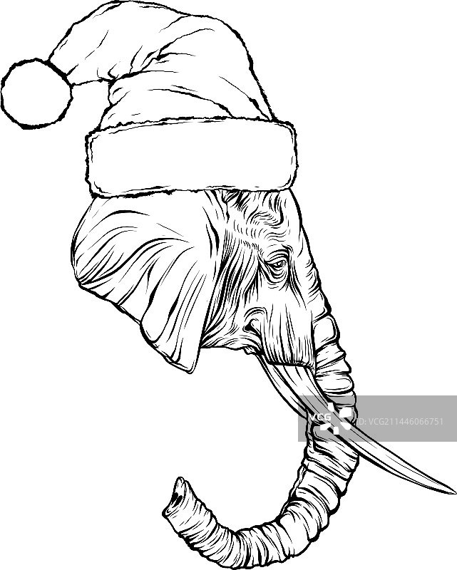 黑白大象头部图片素材