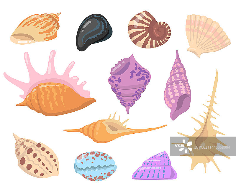 海洋贝壳物体扁平素材图片素材
