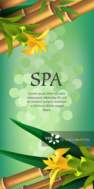 SPA黄色花竹文字设计图片素材