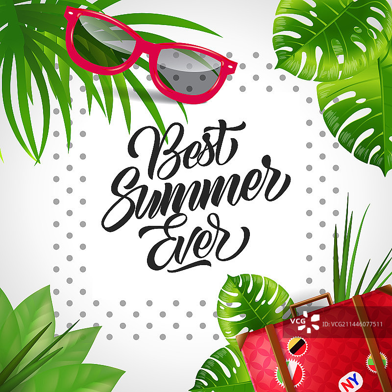 热带风情最佳夏日标语图片素材