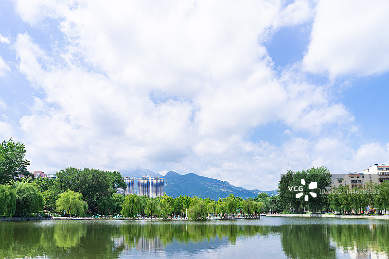 中国野生植物水生植物拍摄主题，山东泰安东湖公园城市公园全景，户外白昼无人图像摄影图片素材