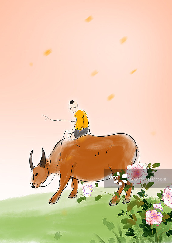 坐在水牛上的人图片素材