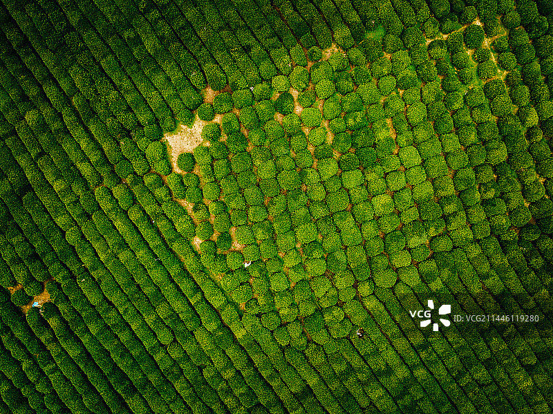 杭州中国茶业博物馆航拍全景图片素材