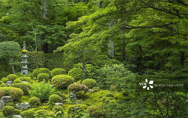 日本京都日式庭院绿色图片素材