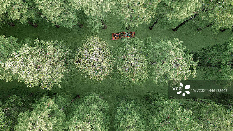 扬州渌洋湖湿地风光图片素材