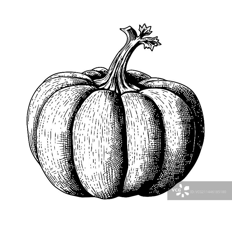 手工绘制雕刻风格的南瓜图案图片素材