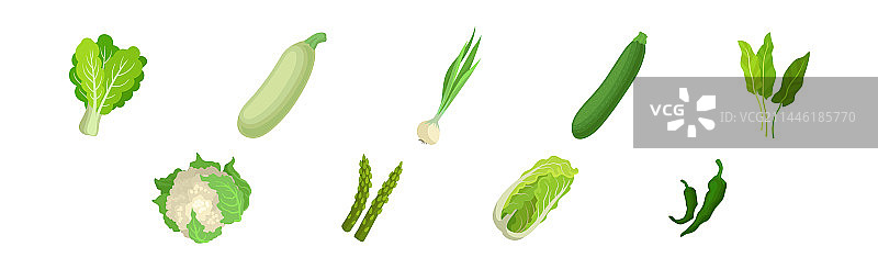 西葫芦洋葱绿色蔬菜沙拉图片素材