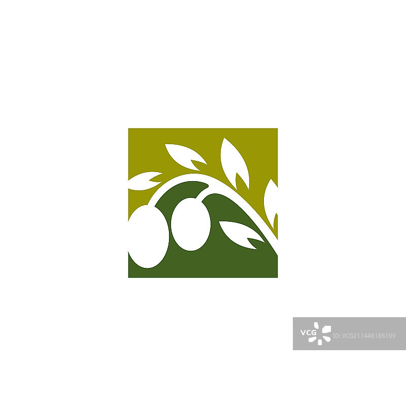 具有现代创意概念的橄榄Logo设计图片素材