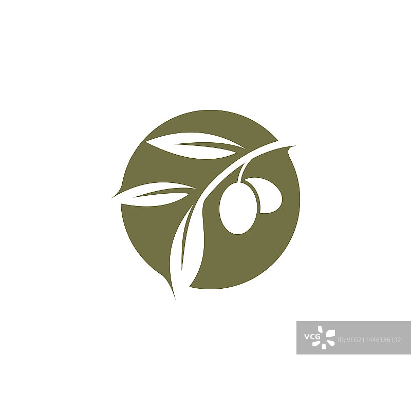 具有现代创意概念的橄榄Logo设计图片素材