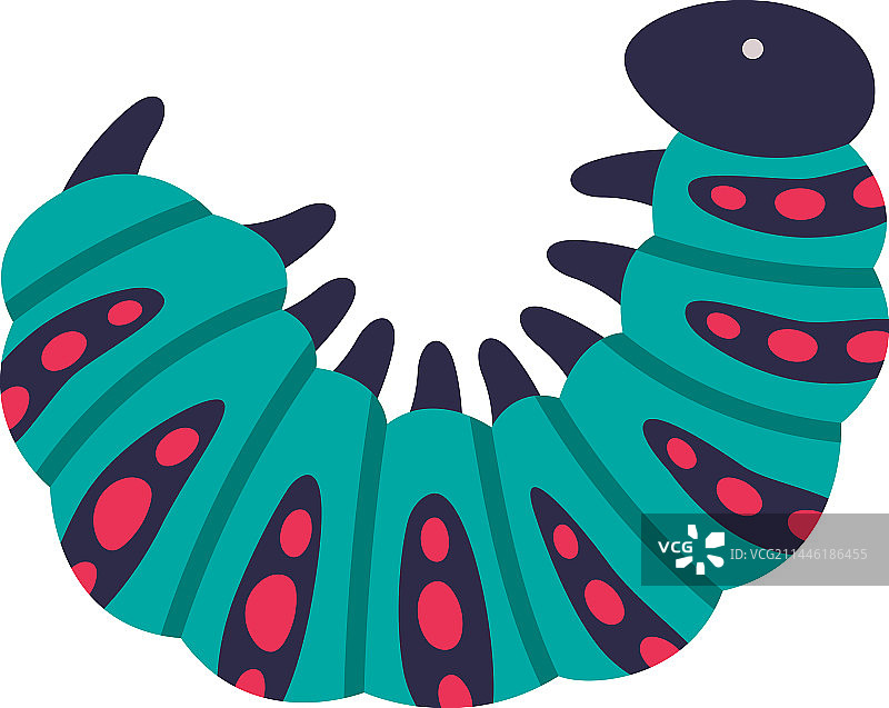 昆虫幼虫阶段的亮色毛毛虫图片素材