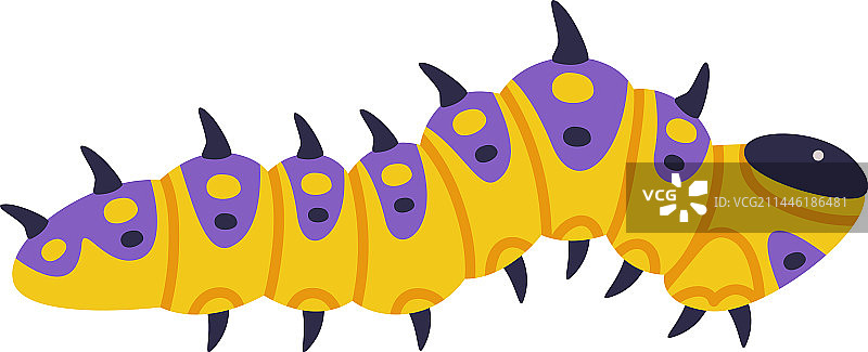 昆虫幼虫阶段的黄色毛毛虫图片素材