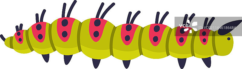 昆虫幼虫阶段的亮色毛毛虫图片素材