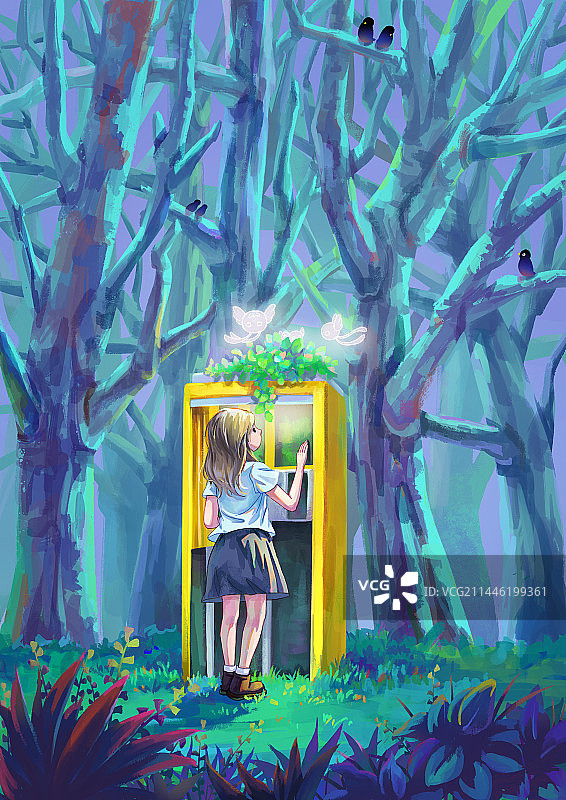 森林夜色图片素材