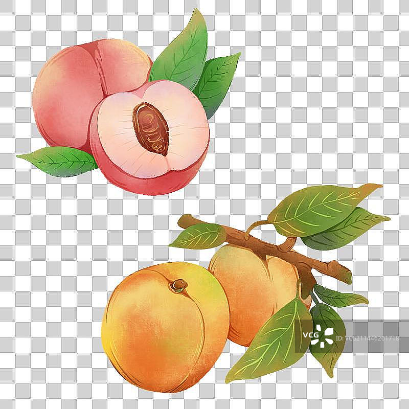 肌理水果—水蜜桃&黄桃图片素材