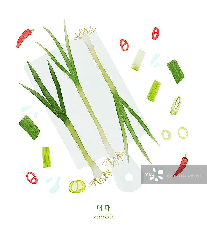 新鲜的食材：蔬菜和葱图片素材