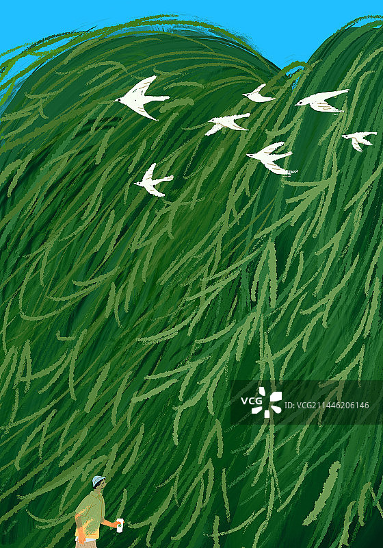 夏季柳树风景图片素材