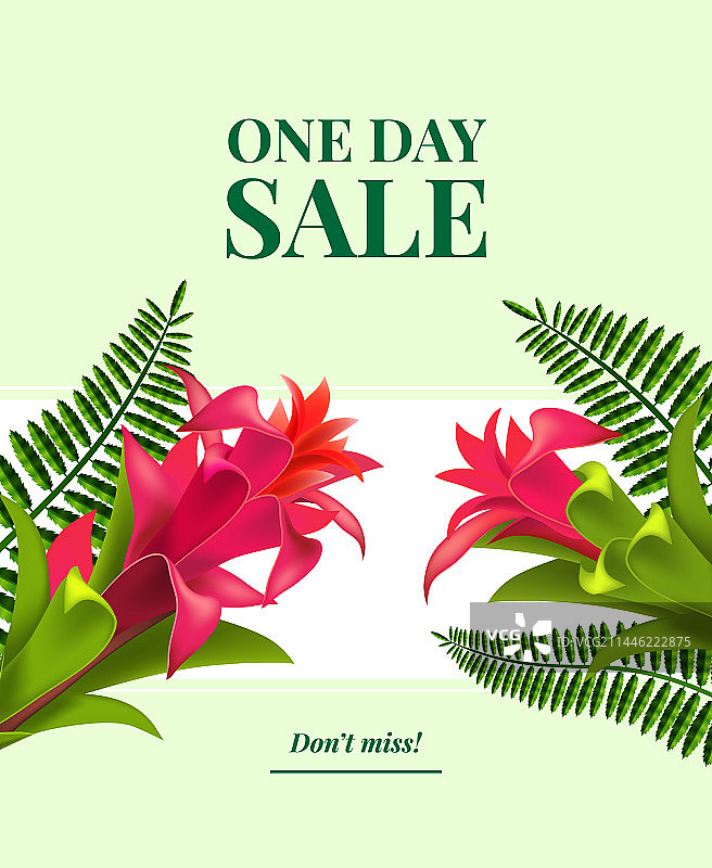 一日限时抢购传单设计图片素材