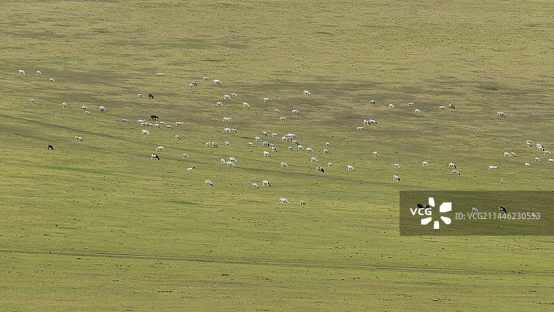 草原韵律图片素材