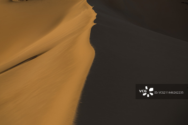 撒哈拉沙漠的金色沙子图片素材
