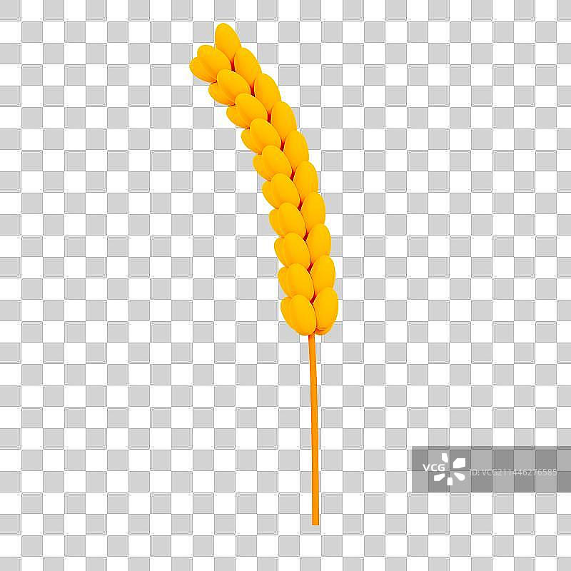 3D立体金黄色的小麦元素图片素材