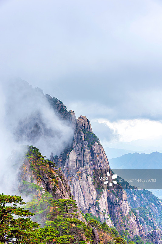 中国安徽黄山松鼠跳天都图片素材