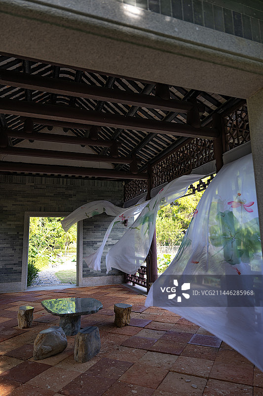 厦门园博苑，夏日荷塘边的风图片素材