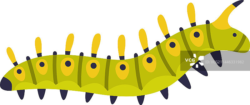 鲜绿色毛毛虫，昆虫的幼虫阶段图片素材